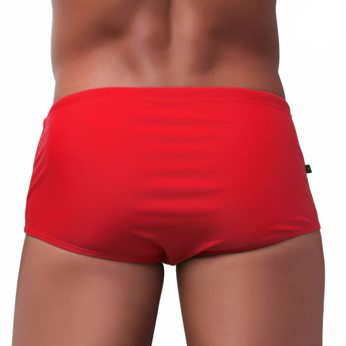 Traditional Square Solids Cut Sunga - Male Bathing Suit - Image 10